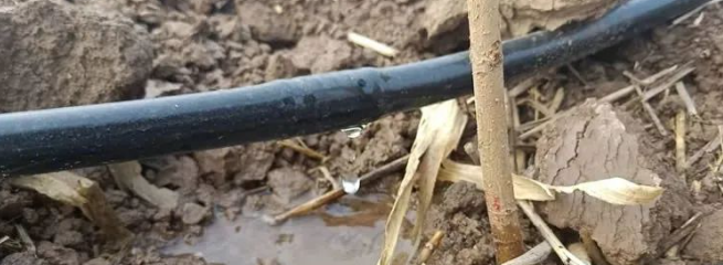 ��λ���¹��ϵ��ֳ�